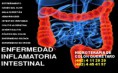 /album/fotogaleria/enfermedad-inflamatoria-intestinal-1-638-jpg/